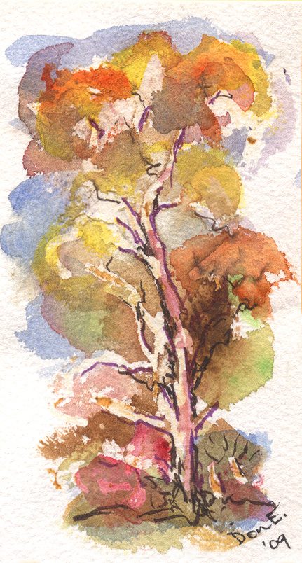 Anglesea Gum Tree Watercolor