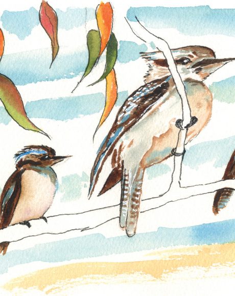 Kookaburra_Watercolor