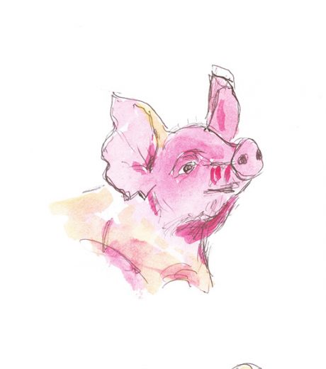 Pink_Pig_small