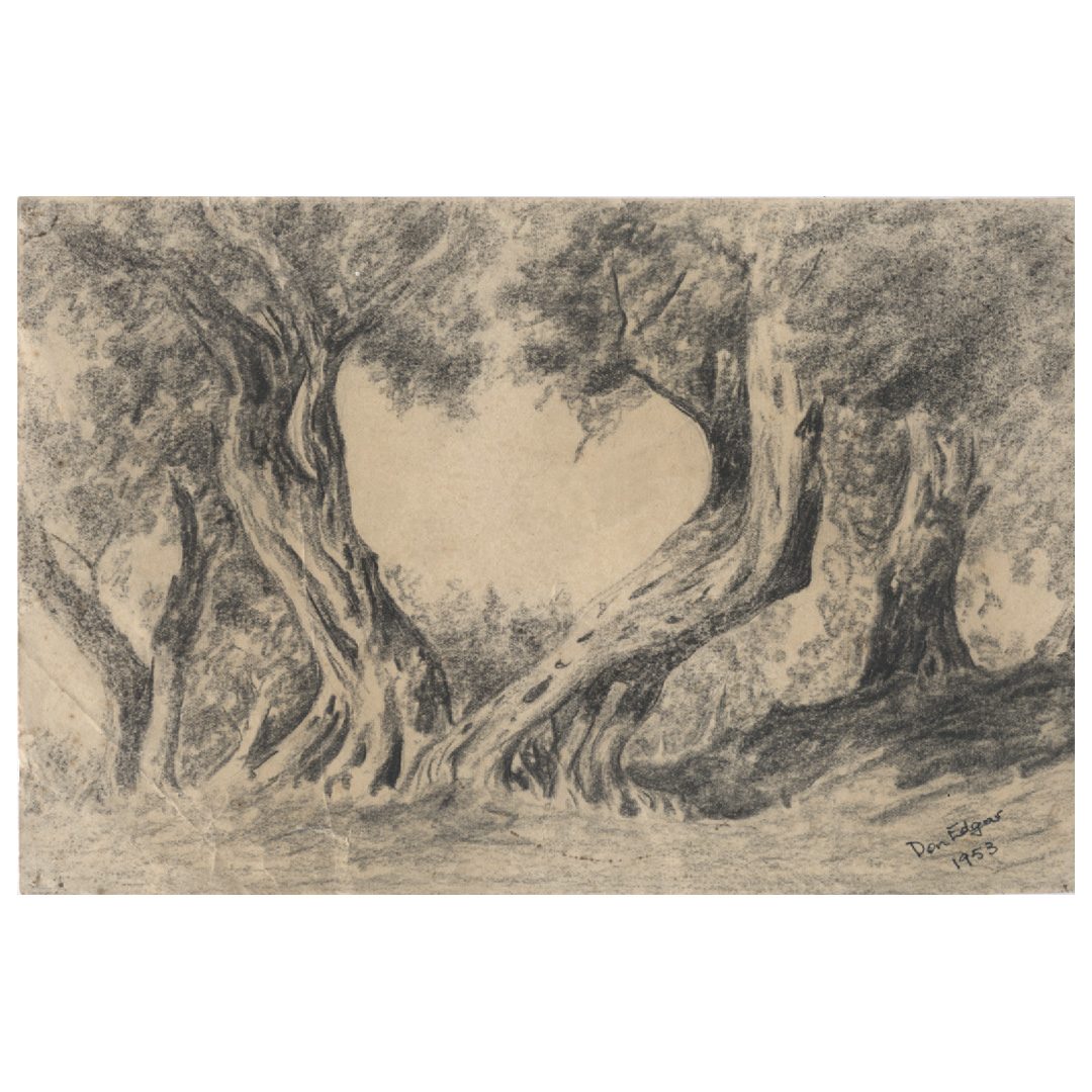 Warrnambool Gum Tree - Charcoal 1953